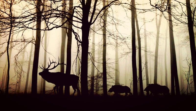 Silent walk